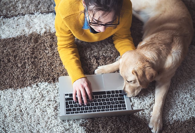 What_is_a_Sniffer_and_How_Can_You_Prevent_Sniffing-Hero