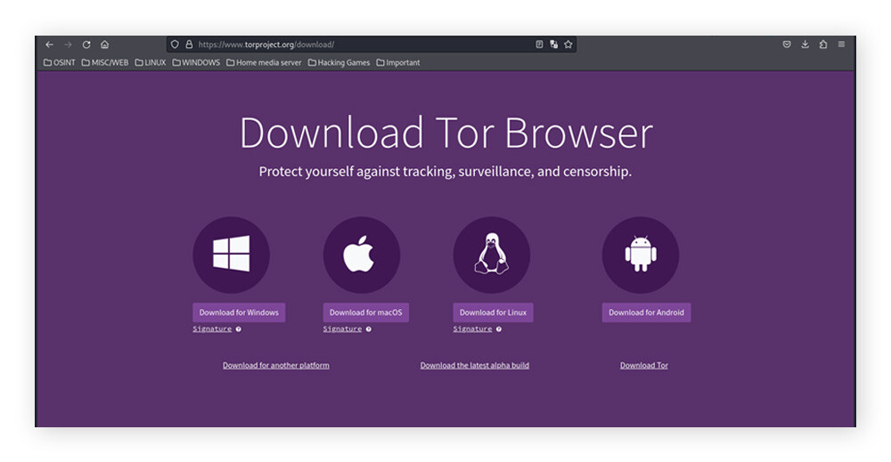 Para acessar a dark web, baixe o Tor Browser.