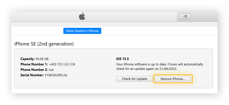Zusammenfassung der iPhone-Geräteeinstellungen in der iTunes-App.