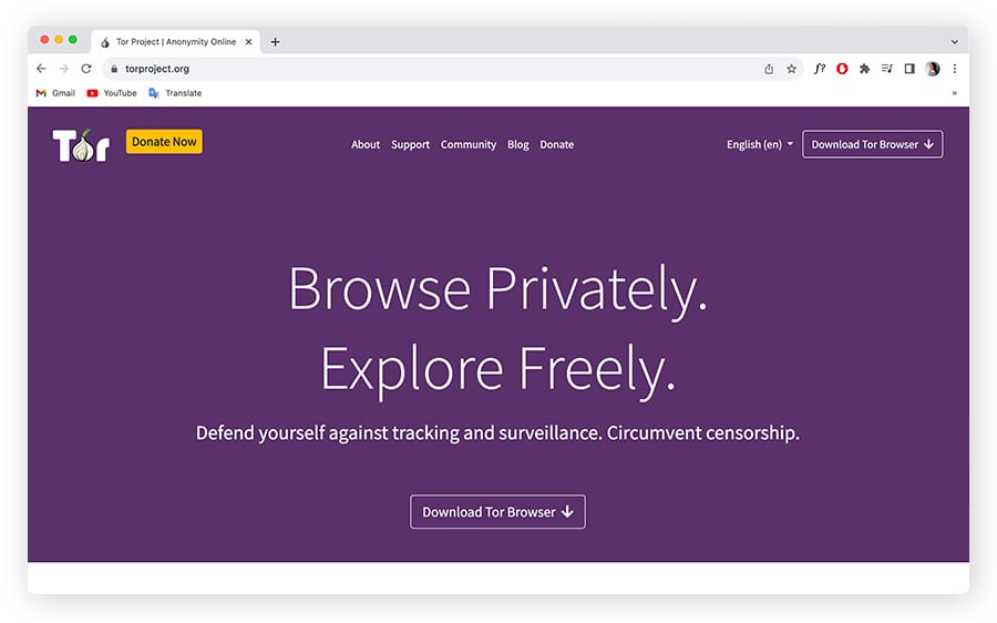 Eine Abbildung der Tor-Browser-Homepage.