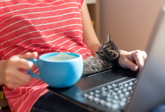 Should_You_Shut_Down_Sleep_or_Hibernate_Your_PC_or_Mac_Laptop-Hero-img-refresh